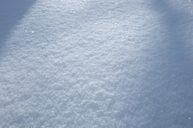 雪が綺麗だったので (写真だけです)_a0292268_23532602.jpg