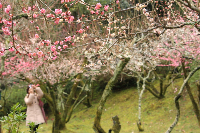 雪の石山寺へ_b0055171_14511765.jpg