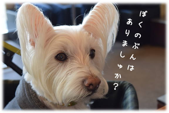 b0242873_11560801.png