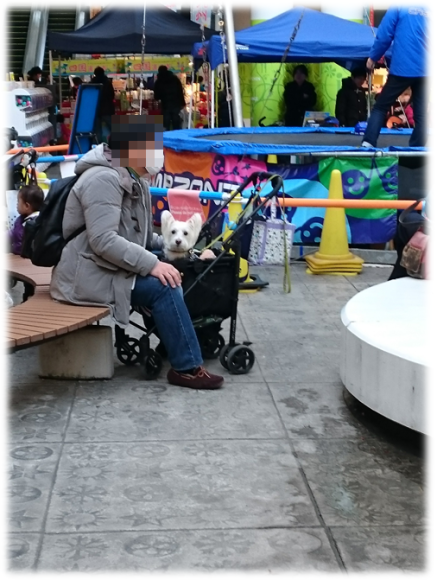 b0242873_12235463.png