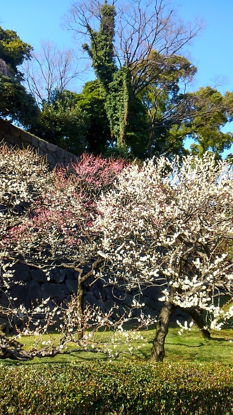 a0224502_19562861.jpg