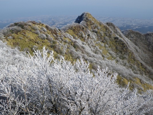 f0187402_1612485.jpg