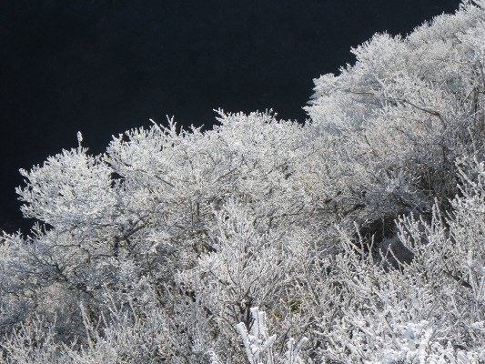f0187402_1651781.jpg