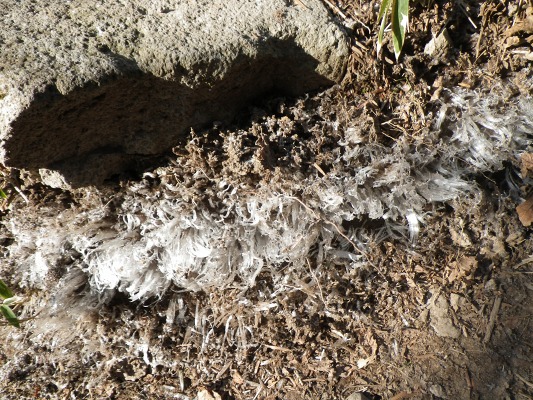 f0187402_1685533.jpg