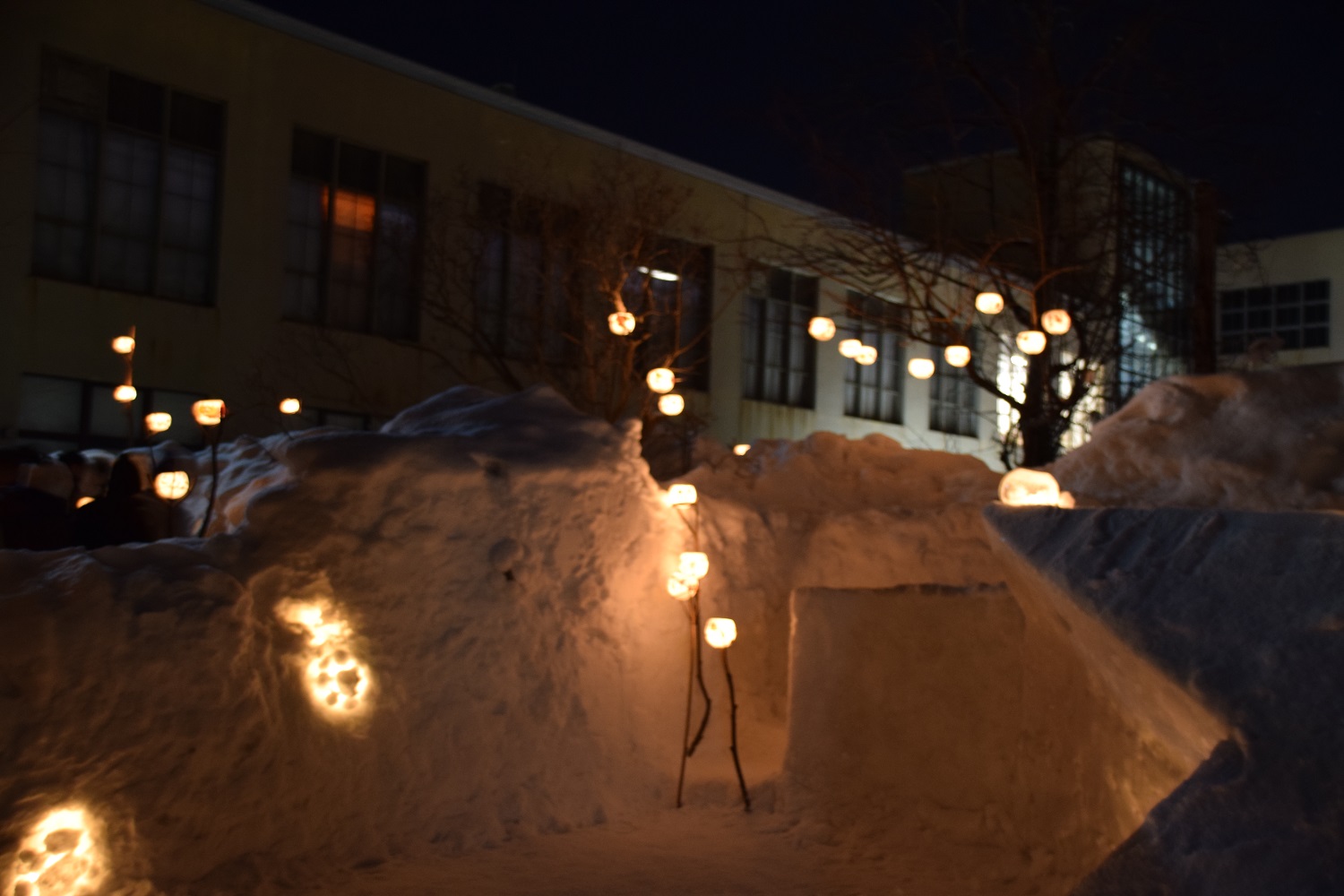 雪明かりの路2016始まる・・・_a0100204_20215249.jpg