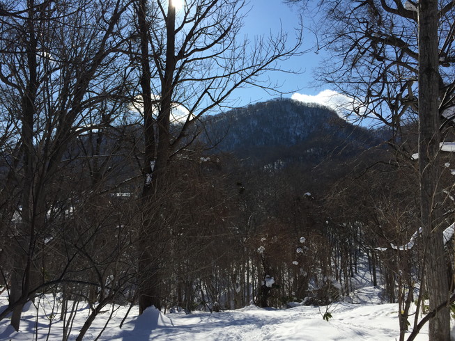 2016年2月　『藻岩山北壁』　February 2016 \"Mt. Moiwa, North Face\"_c0219616_14253376.jpg