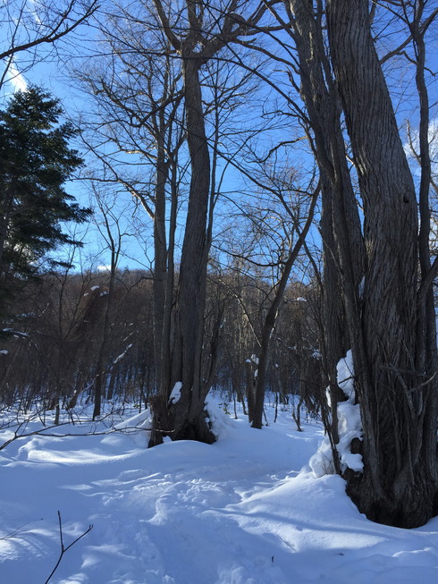 2016年2月　『藻岩山北壁』　February 2016 \"Mt. Moiwa, North Face\"_c0219616_14325289.jpg