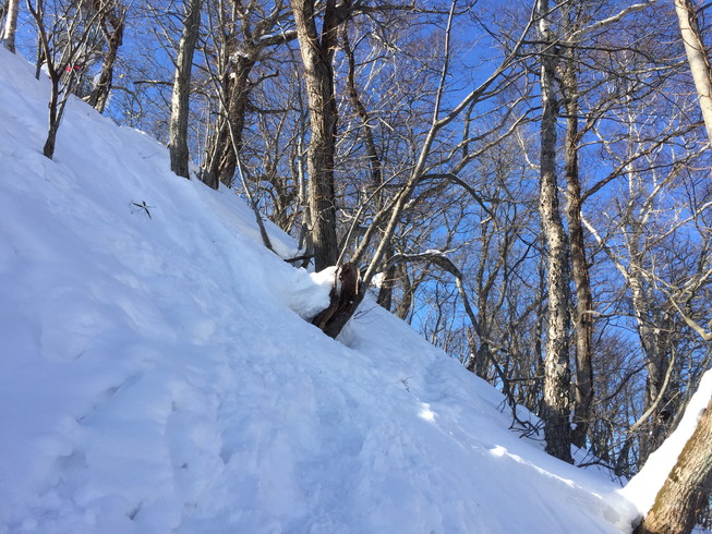 2016年2月　『藻岩山北壁』　February 2016 \"Mt. Moiwa, North Face\"_c0219616_14374654.jpg