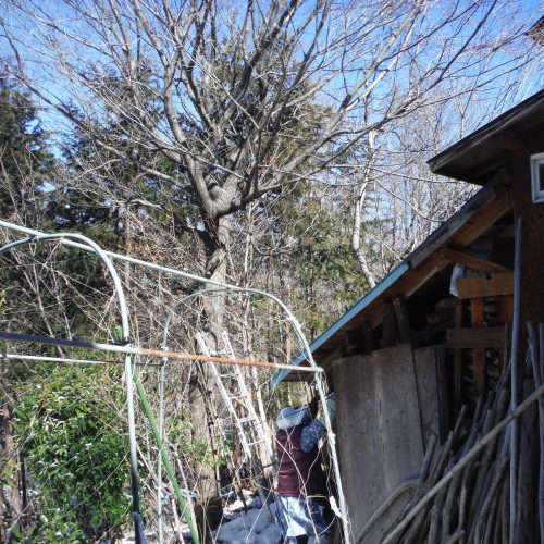 c0310322_17581363.jpg