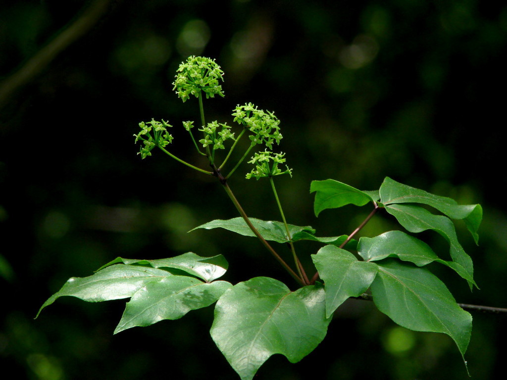 d0024426_22570432.jpg