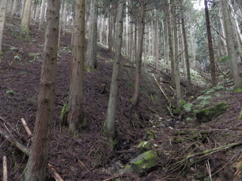 d0045626_00002516.jpg