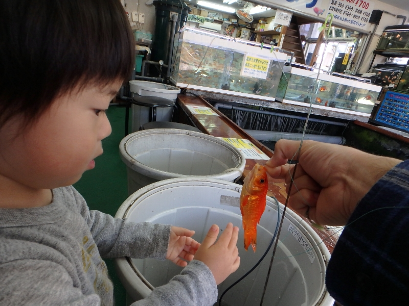 初めての釣堀_c0113733_12053100.jpg