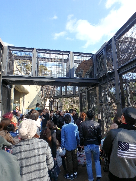 京都市動物園★バイキング_c0113733_12723.jpg