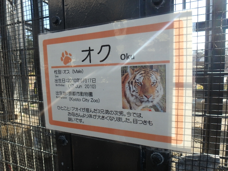 京都市動物園★バイキング_c0113733_1275195.jpg