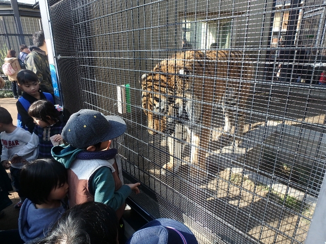 京都市動物園★バイキング_c0113733_1302199.jpg