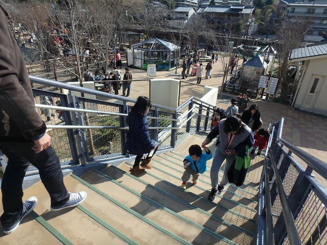 京都市動物園★バイキング_c0113733_130413.jpg