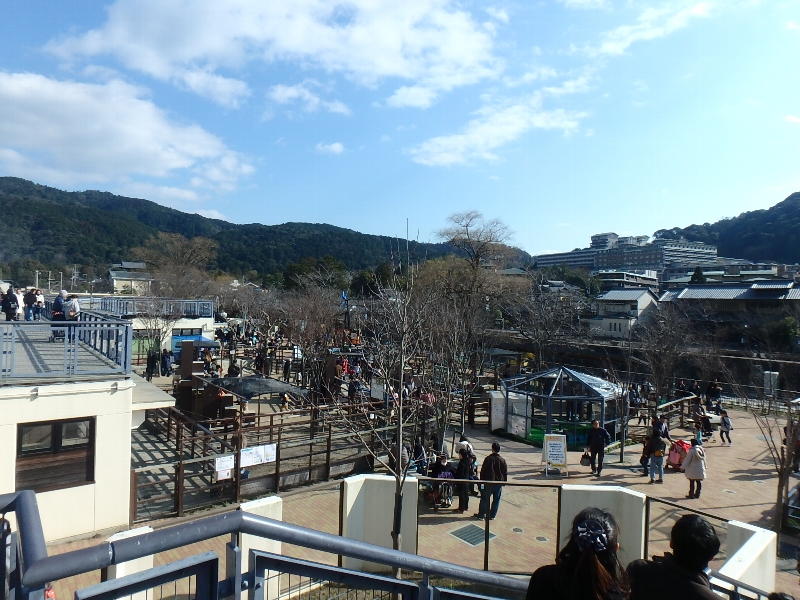 京都市動物園★バイキング_c0113733_1305048.jpg