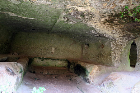 エトルリア墳墓遺跡と早春の花、ブレーラ_f0234936_830482.jpg