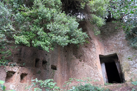 エトルリア墳墓遺跡と早春の花、ブレーラ_f0234936_8315892.jpg