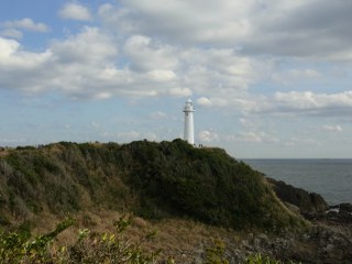 木爪崎の水仙を見てきました！_c0088437_22425281.jpg