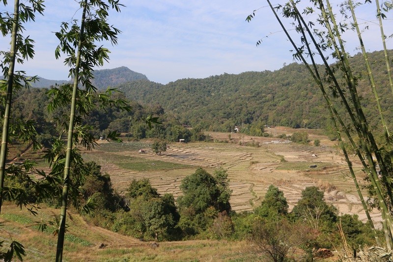 Doi Inthanon National Park☆チェンマイ_e0182138_23315158.jpg