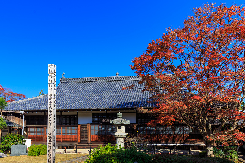 京都の紅葉2015・丸窓の秋（源光庵）_f0155048_16562730.jpg