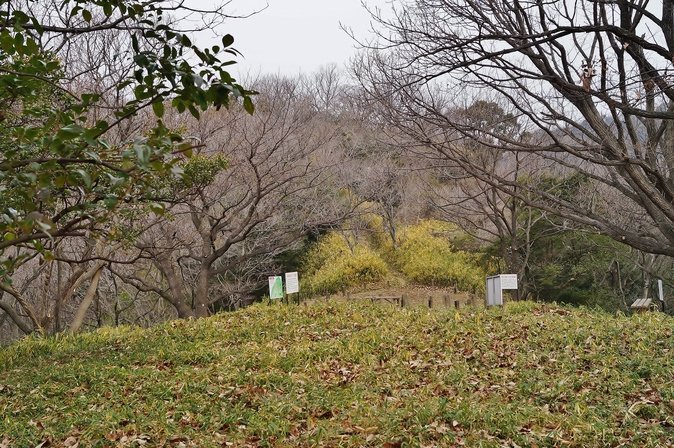 会下山遺跡 @芦屋_b0063958_16593632.jpg