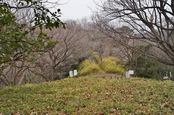 会下山遺跡　＠芦屋_b0063958_16593632.jpg