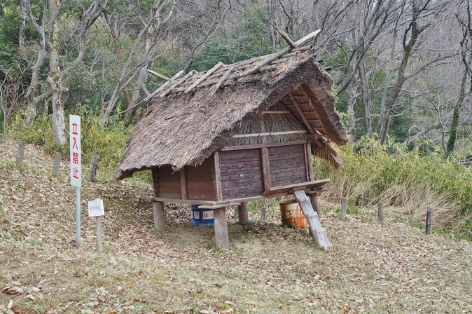 会下山遺跡　＠芦屋_b0063958_1723521.jpg