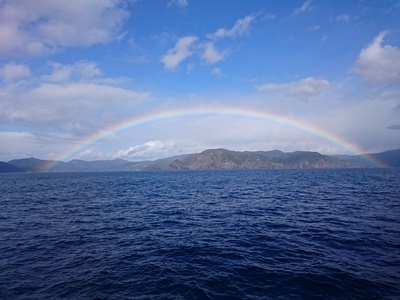 「虹が綺麗でした！」_b0033573_19002260.jpg