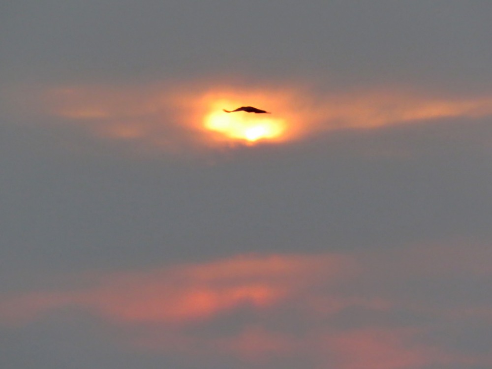 c0049299_2238835.jpg