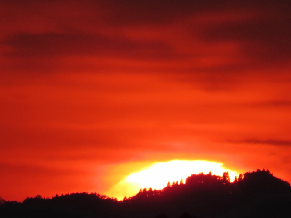 c0049299_22564389.jpg