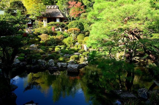 「等持院」京都2015秋の想出帖から_a0169902_23293789.jpg