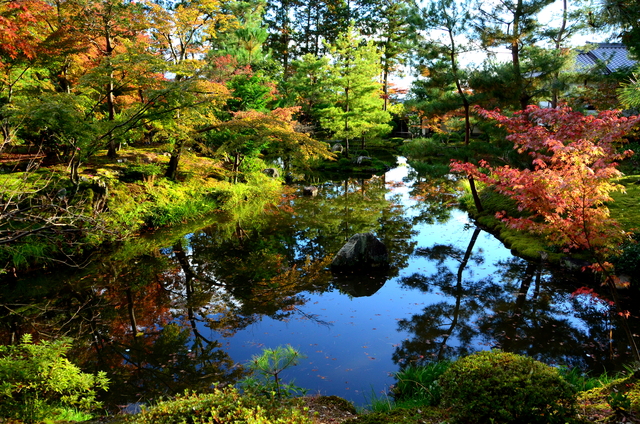 「等持院」京都2015秋の想出帖から_a0169902_2338128.jpg