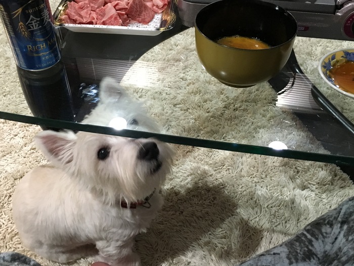 風邪に効く食べ物って??_c0226202_2143020.jpg