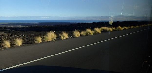 a0354506_12024736.jpg