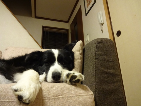 b0239909_13492719.jpg
