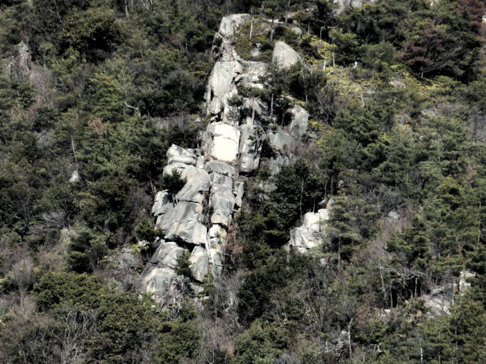 f0219710_07372494.jpg
