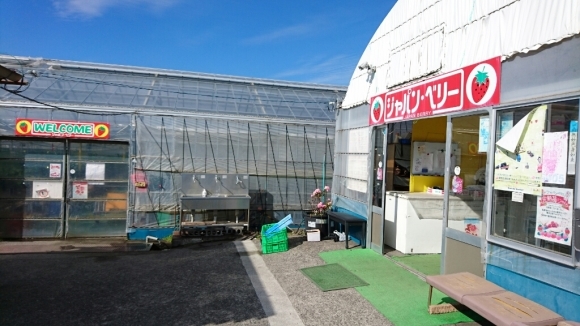 b0093515_11100690.jpg