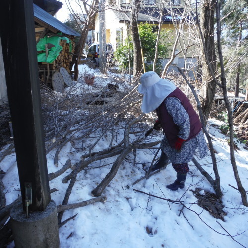 ヘイヘイホ～♪♪カカトト木を切る_c0310322_19115817.jpg