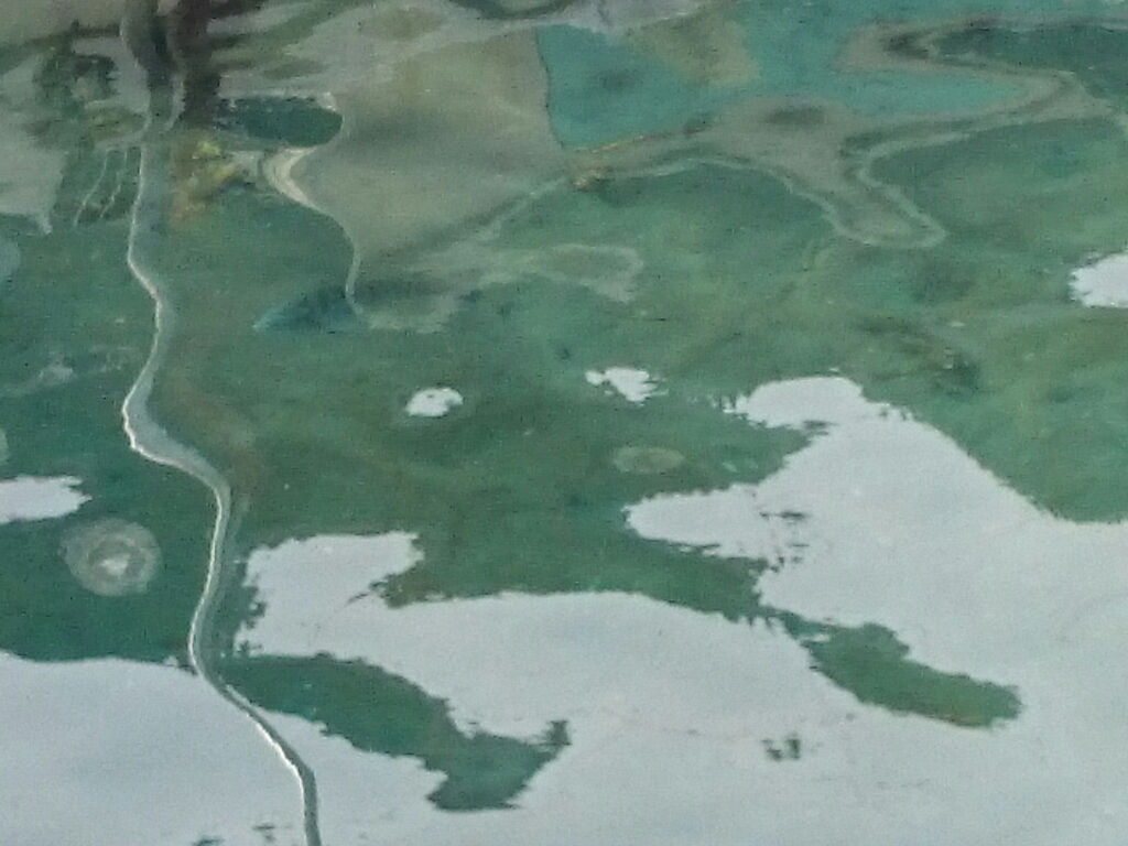 b0259124_08353045.jpg