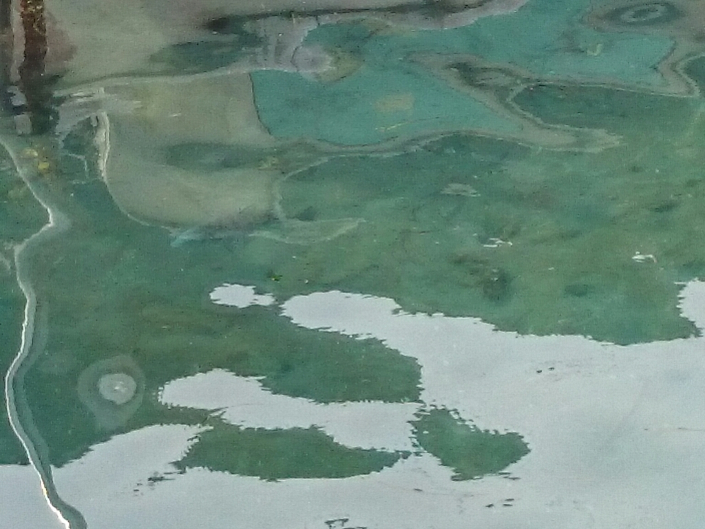 b0259124_08353709.jpg