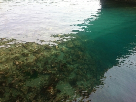 b0259124_09175155.jpg