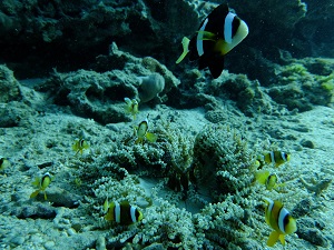 b0124144_8584915.jpg