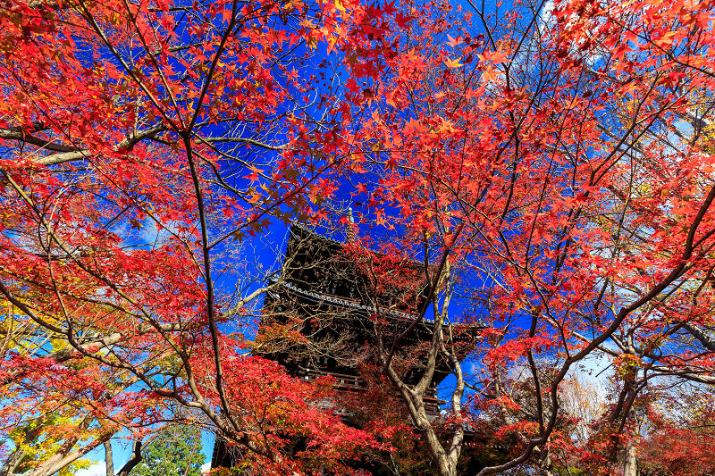 京都の紅葉2015・真如堂の紅（前編）_f0155048_224338.jpg