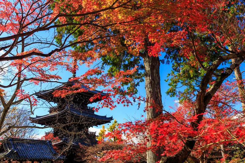 京都の紅葉2015・真如堂の紅（前編）_f0155048_2264086.jpg