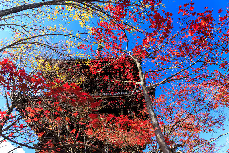 京都の紅葉2015・真如堂の紅（前編）_f0155048_2275791.jpg