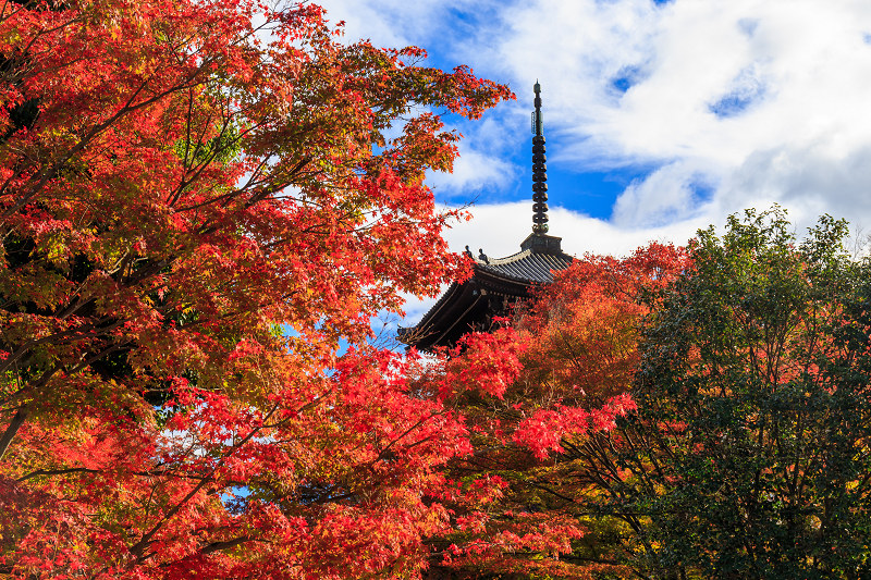 京都の紅葉2015・真如堂の紅（前編）_f0155048_2275931.jpg