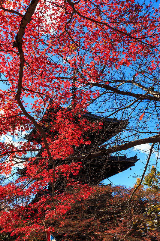 京都の紅葉2015・真如堂の紅（前編）_f0155048_227633.jpg