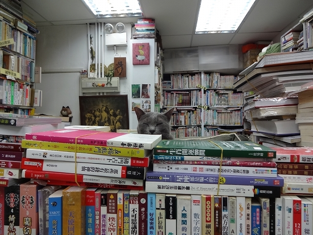 猫天国 森記圖書公司 _b0248150_04434363.jpg